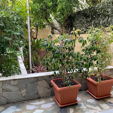 Garden View *